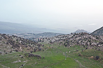 נוף הרים