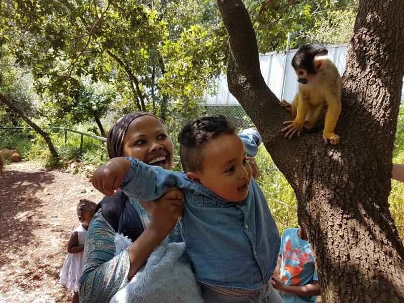 טיול משפחות ביער הקופים